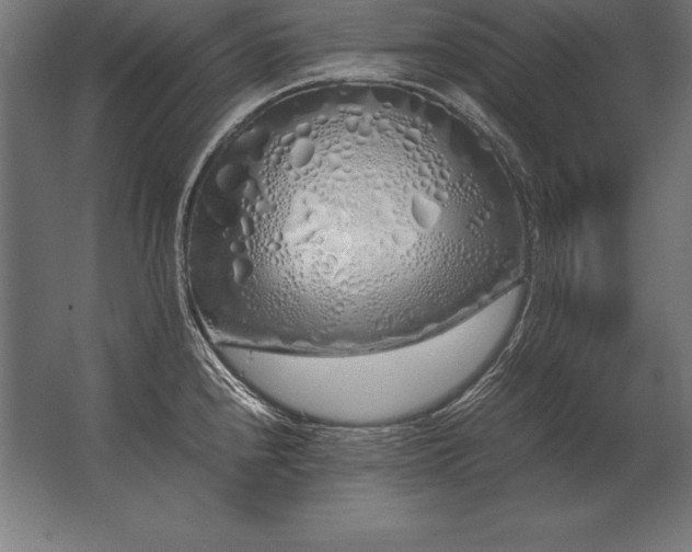 X0000062801240200512290240