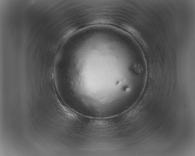 X0000062801241200512290240