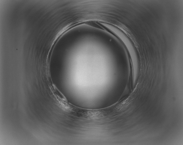 X0000062801242200512290240