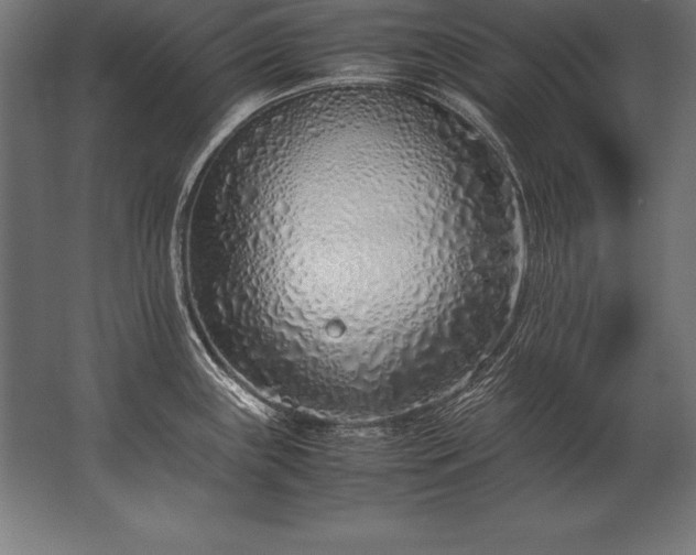 X0000062801243200512290240
