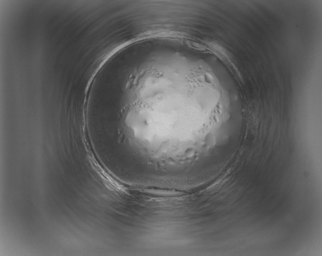 X0000062801244200512290240