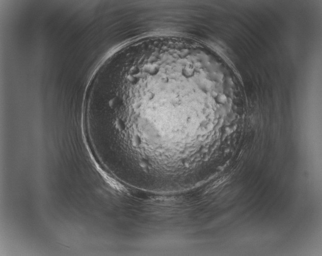 X0000062801245200512290240