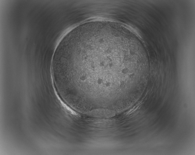X0000062801247200512290240