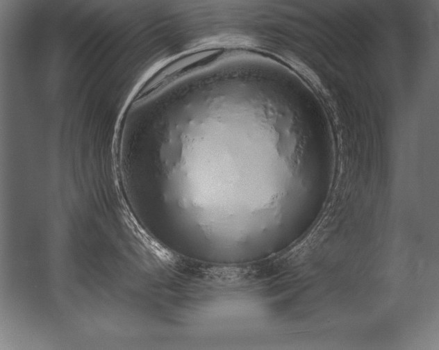 X0000062801248200512290240