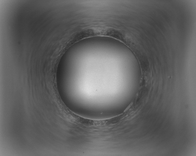 X0000062801249200512290239