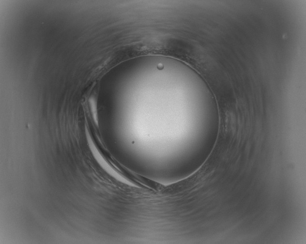 X0000062801250200512290239