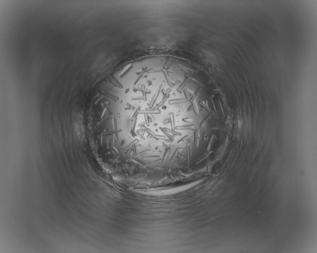 X0000062801252200512290239