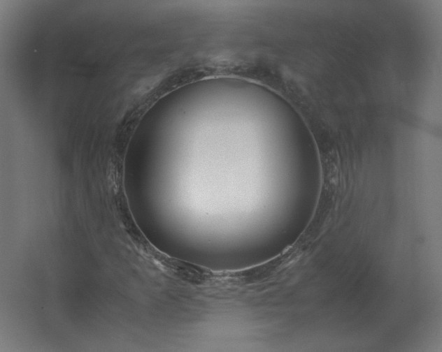 X0000062801253200512290239