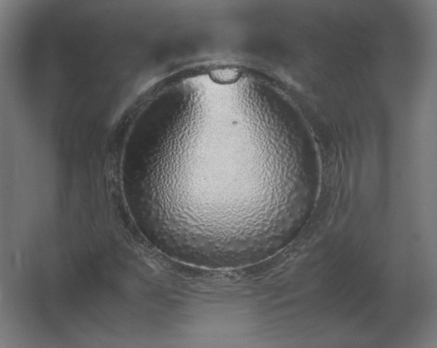X0000062801255200512290239