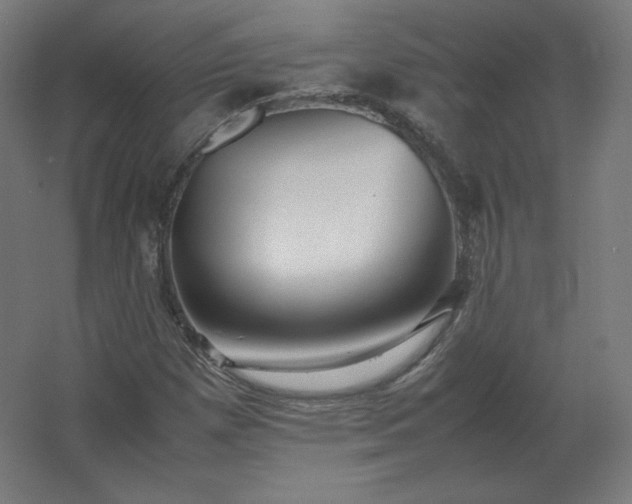 X0000062801257200512290239
