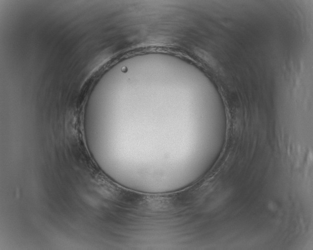 X0000062801258200512290239