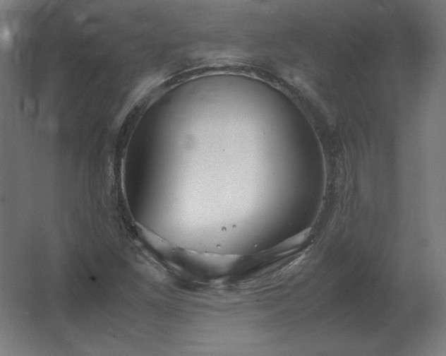 X0000062801261200512290239