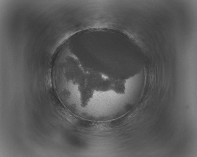 X0000062801262200512290239