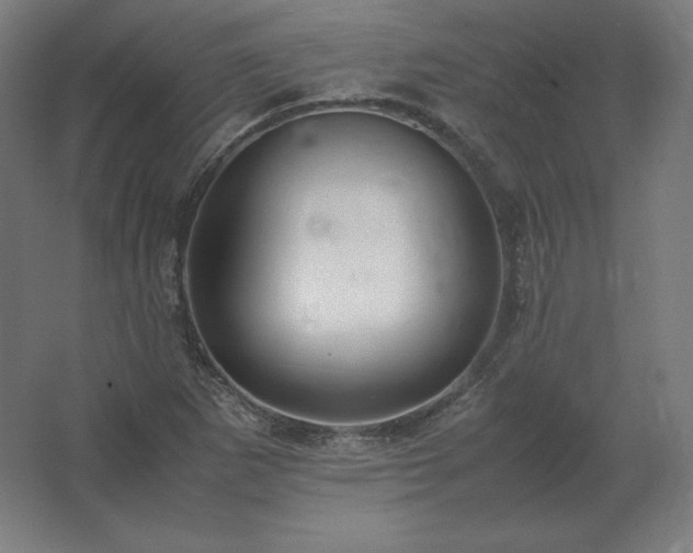 X0000062801265200512290239