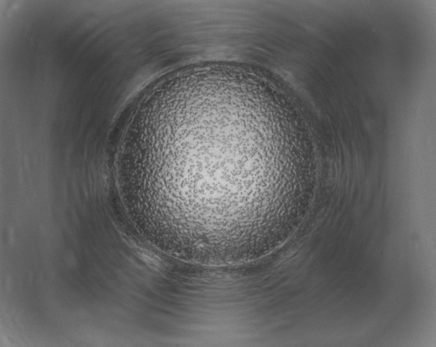 X0000062801266200512290239