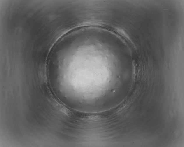 X0000062801268200512290239