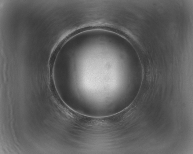 X0000062801270200512290239