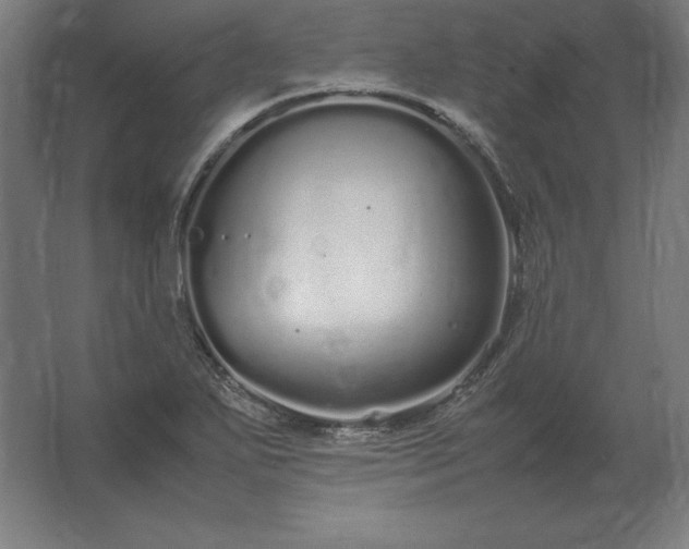 X0000062801271200512290239