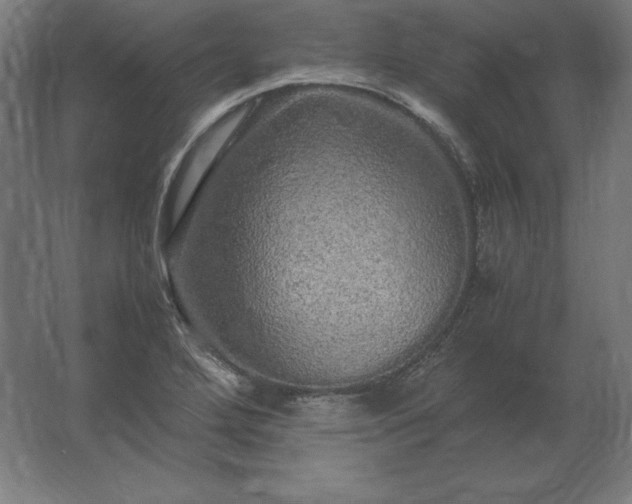 X0000062801272200512290239
