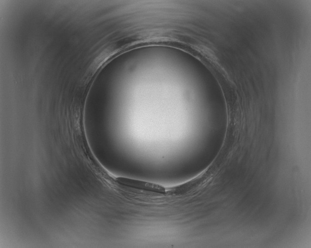 X0000062801273200512290239