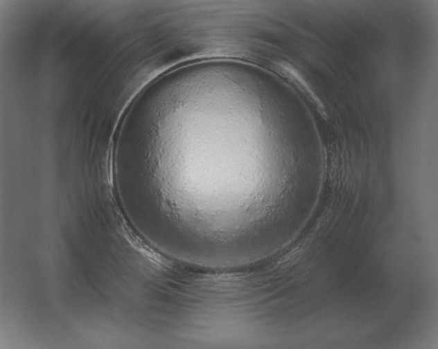 X0000062801276200512290239