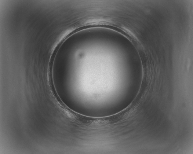 X0000062801277200512290239
