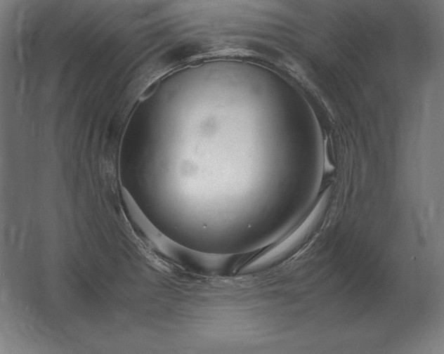 X0000062801281200512290239