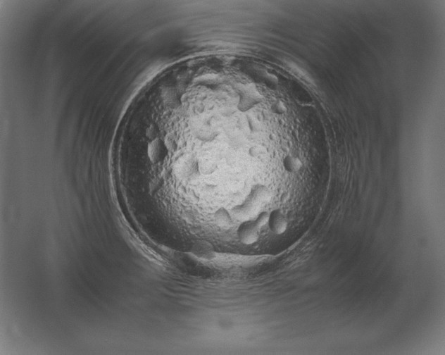 X0000062801283200512290239