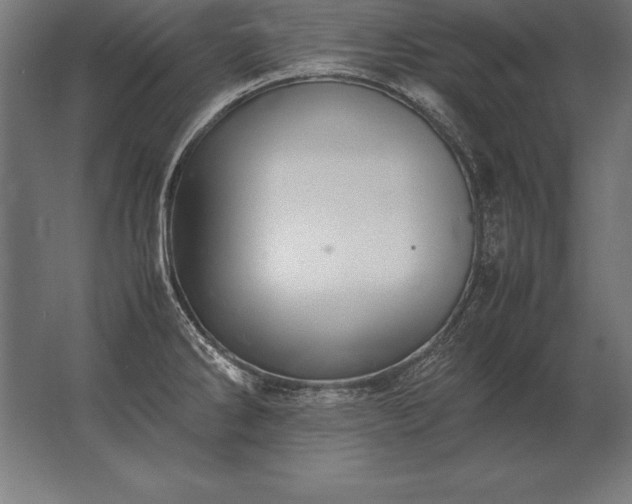 X0000062801286200512290239