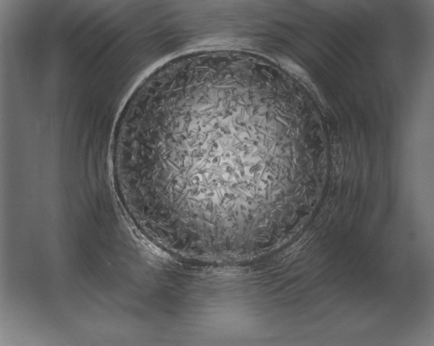 X0000062801288200512290239