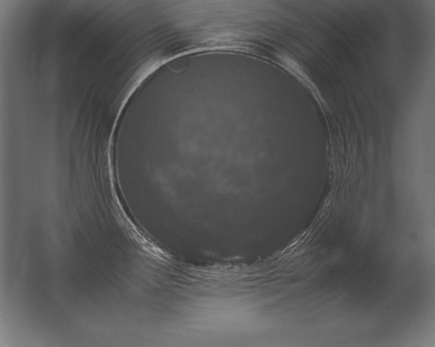 X0000062801291200512290239