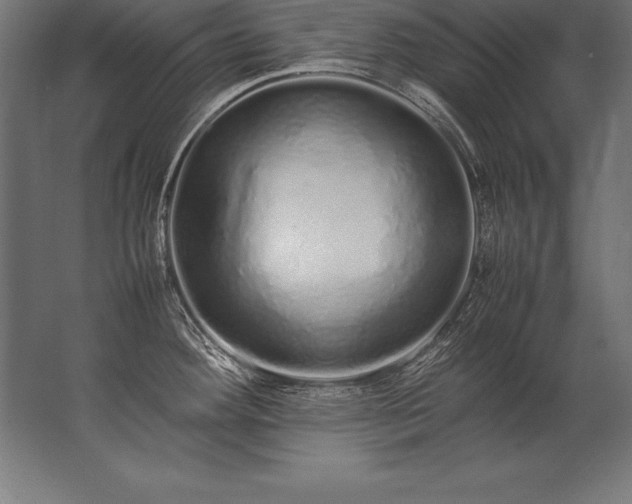 X0000062801292200512290239