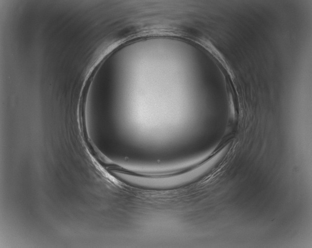 X0000062801293200512290239