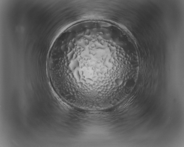 X0000062801295200512290239