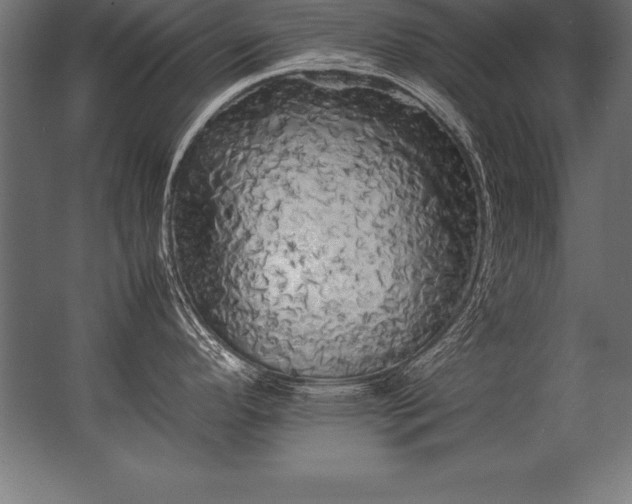 X0000062801296200512290239