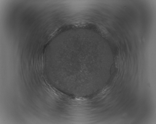 X0000062801298200512290238