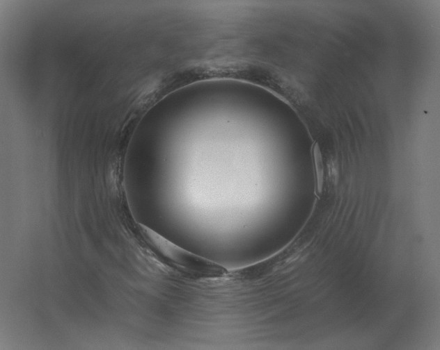 X0000062801300200512290238