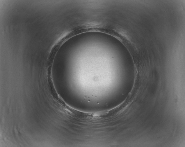 X0000062801309200512290238