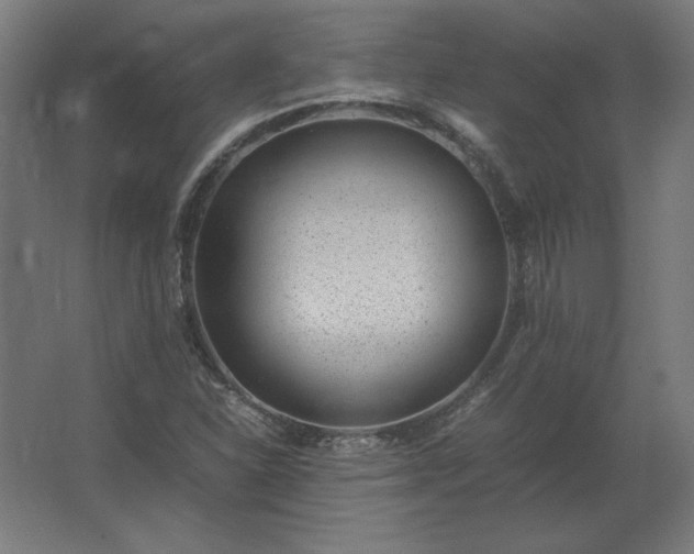 X0000062801310200512290238