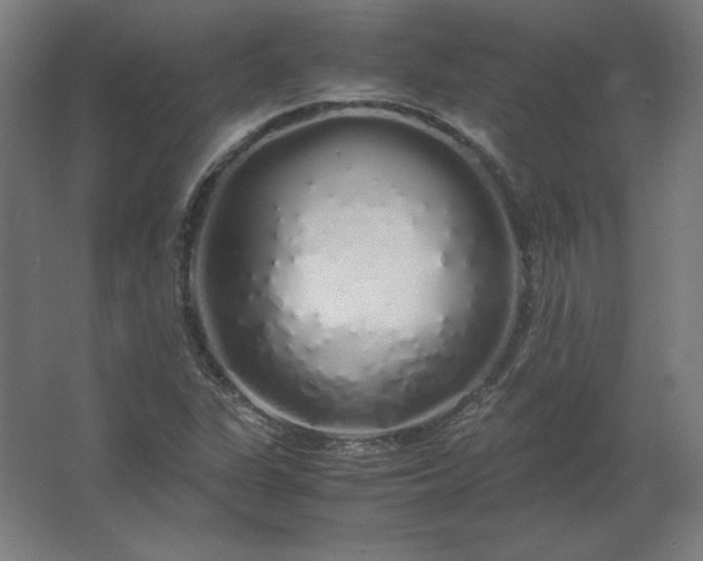 X0000062801311200512290238