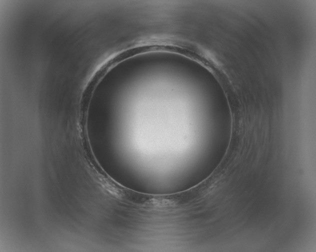 X0000062801312200512290238