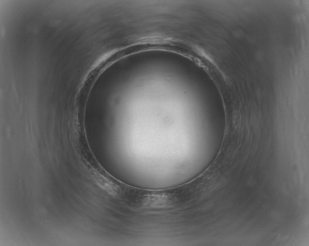 X0000062801315200512290238