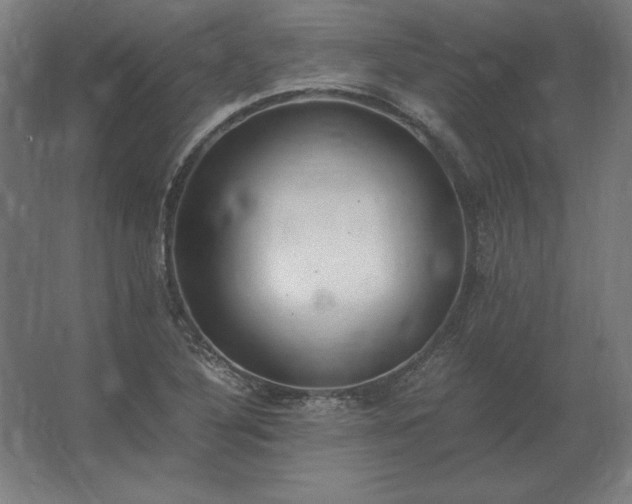 X0000062801316200512290238