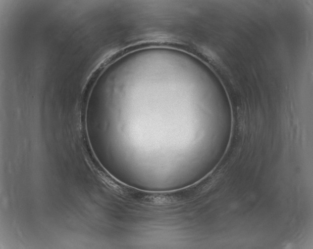 X0000062801318200512290238