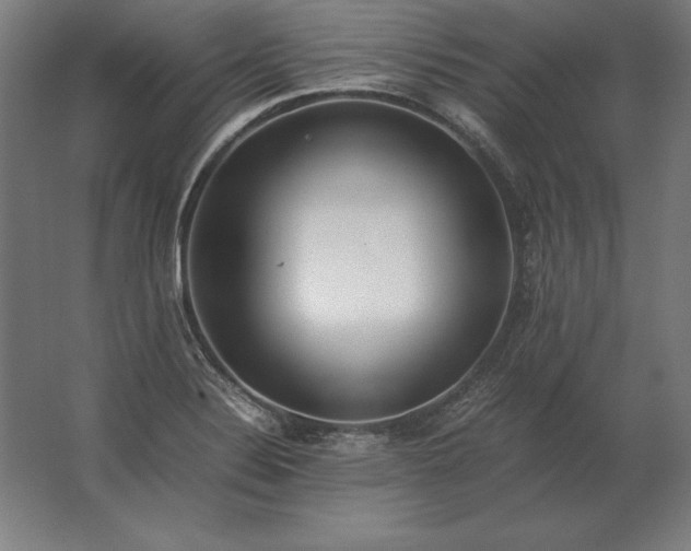 X0000062801324200512290238