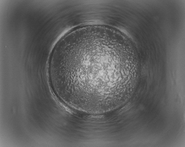 X0000062801325200512290238