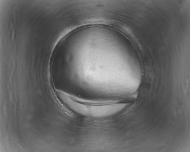 X0000062801328200512290238