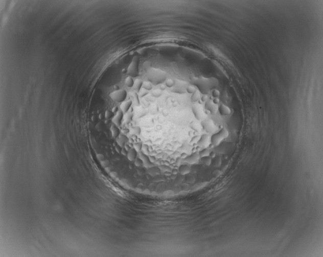 X0000062801329200512290238