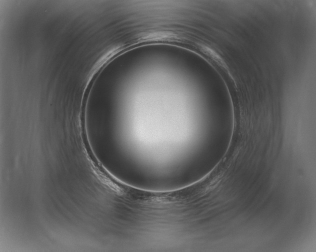 X0000062801330200512290238