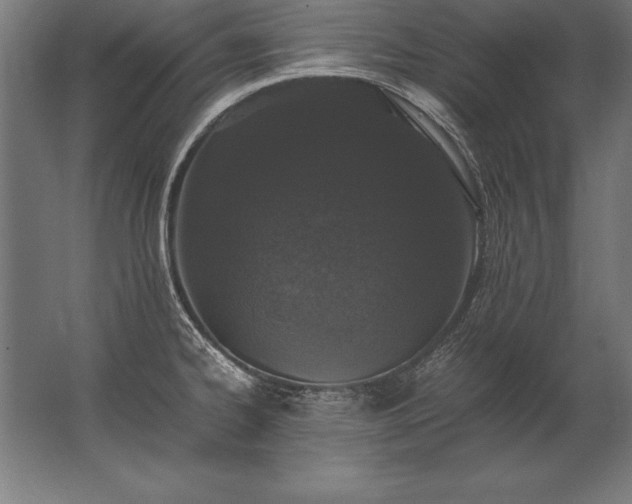X0000062801334200512290238